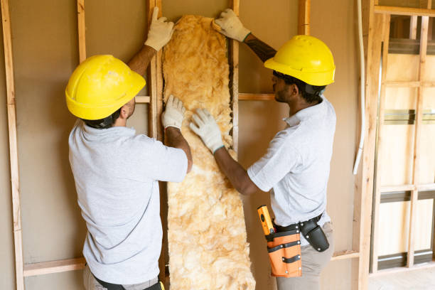 Best Soundproof Insulation  in Palmhurst, TX